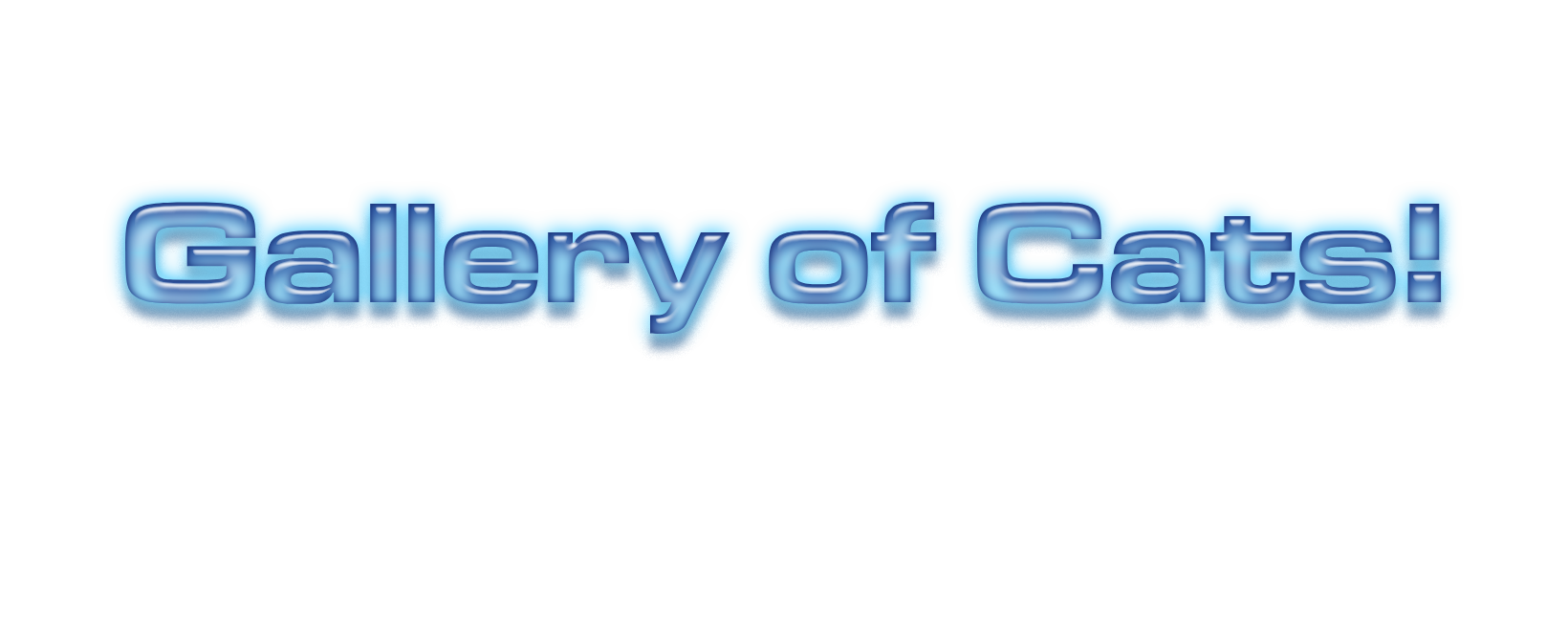 Cat Gallery